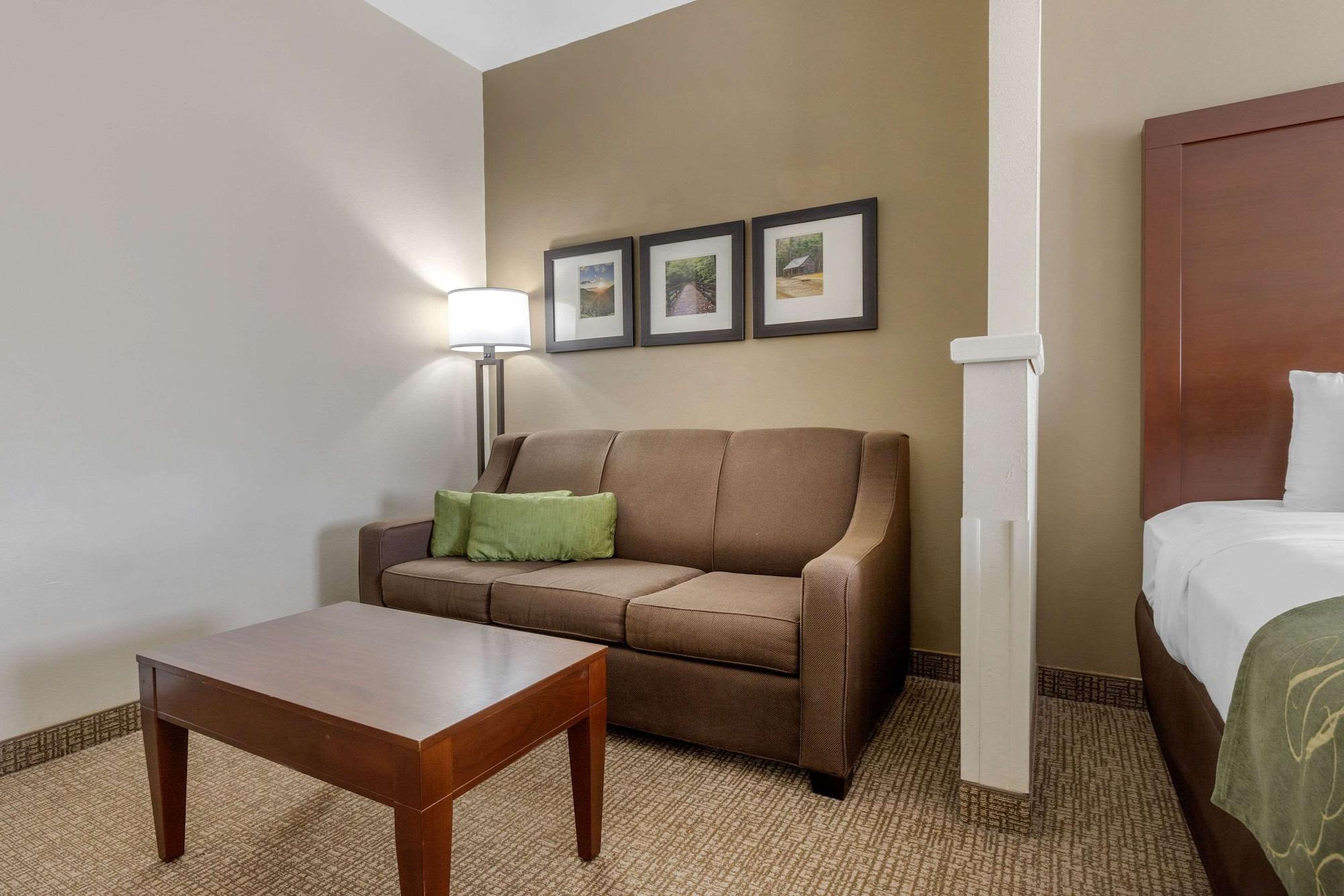 Comfort Suites Johnson City Near University Exterior foto